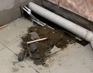 通渭卫生间漏水检测哪家好