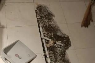 通渭卫生间漏水检测电话